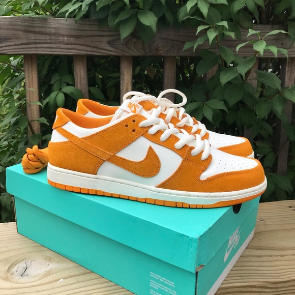 Nike | Shoes | Nike Sb Zoom Dunk Low Pro Circuit Orange White 2 | Poshmark